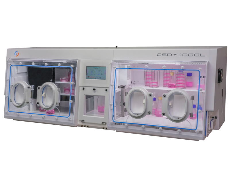 _DSC2796-编辑 拷贝.jpg